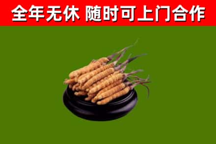 金林区烟酒回收冬虫夏草.jpg